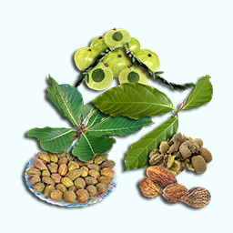 Ayurvedic