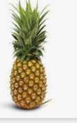 Fruits and Vegetables